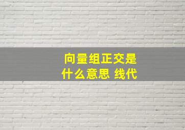 向量组正交是什么意思 线代